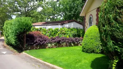 Fangrove Residential Park Home Image